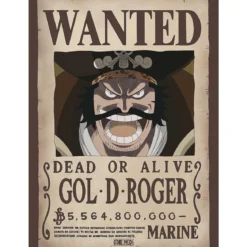 one piece - poster maxi 91,5x61cm - wanted gol. d. roger