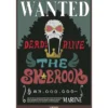 one piece - poster maxi 91,5x61cm - wanted brook