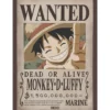 one piece - poster maxi 91,5x61cm - wanted luffy
