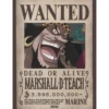 one piece - set 2 chibi posters 52x38cm - wanted shanks & blackbeard