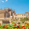 palma di maiorca - puzzle 1000 pezzi