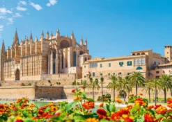 palma di maiorca - puzzle 1000 pezzi