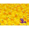paperelle challenge - puzzle 1000 pezzi