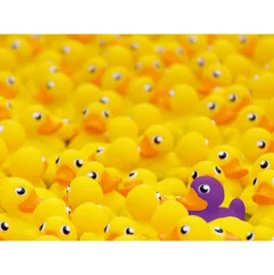 paperelle challenge - puzzle 1000 pezzi