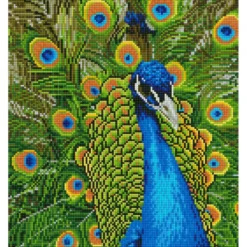peacock - diamond dotz advanced 49940 37x42cm