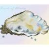 pearls of wisdom - diamond dotz intermediate dd5.070 35,7x27,7cm
