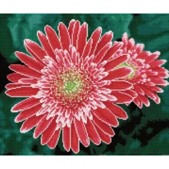 pink gerberas - diamond dotz squares dq10.001 50x40cm