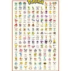 pokemon - poster maxi 91,5x61cm - kanto 1