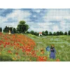 poppy fields après monet - diamond dotz intermediate dd12.048 57x41cm