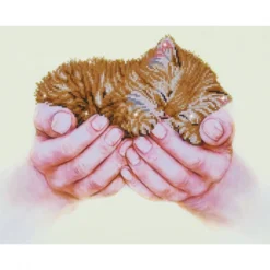 precious kitten - diamond dotz intermediate dd7.011 52x40cm
