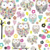 prismatic owls and butterflies - adesivo removibile da parete