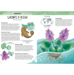 reference books - atlante della biodiversita - flora del mondo