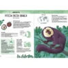 reference books - atlante della biodiversita - animali insoliti e curiosi