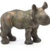 rhinoceros calf