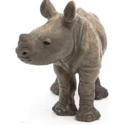 rhinoceros calf
