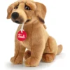 rhodesian ridgeback - peluche taglia s