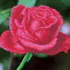 rose bud - diamond dotz intermediate dd5.038 30.5x30.5cm