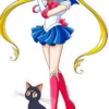 sailor moon - figure acryl - sailor moon & luna