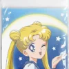 sailor moon - standard magnet - usagi tsukino