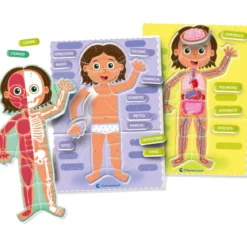 sapientino montessori - il corpo umano