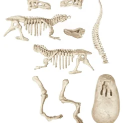 scienza e gioco - archeogiocando velociraptor luminoso al buio