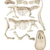scienza e gioco - archeogiocando t-rex luminoso al buio