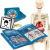 scienza e gioco - il corpo umano