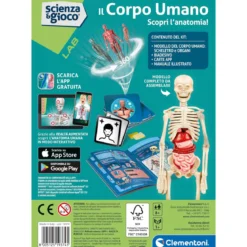 scienza e gioco - il corpo umano