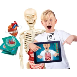 scienza e gioco - il corpo umano