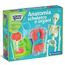 scienza & gioco lab - anatomia scheletro e organi