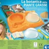 scienza & gioco lab - la botanica delle piante grasse