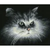 shadow cat say - diamond dotz squares dq7.002 32x25cm