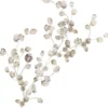 silver dollar branch - adesivo removibile da parete