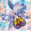 sparkle garden mauve - diamond dotz intermediate dd5.050 30.5x30.5cm