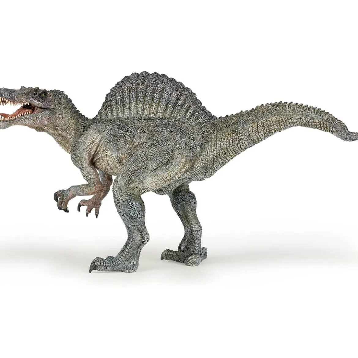 spinosauro