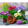 spring gardening - diamond dotz advanced 50449 47x37cm