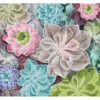 succulents - diamond dotz advanced 49389 37x42cm