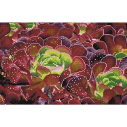 succulents - diamond dotz squares dq9.008 52x32cm