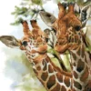 tall and tender - diamond dotz intermediate dd8.017 41x41cm