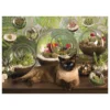 terrarium cat - puzzle 1000 pezzi