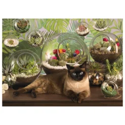terrarium cat - puzzle 1000 pezzi