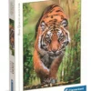 the hunter's path - puzzle 1000 pezzi