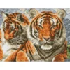 tigers - diamond dotz squares dq10.003 52x37cm