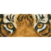 tiger spy - diamond dotz intermediate dd5.041 42x15cm