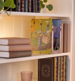 tiny adventures - book nook - harry potter quidditch