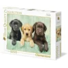 tre labrador - puzzle 1000 pezzi high quality collection