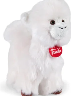 trudino - alpaca
