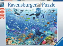variopinto mondo subacqueo - puzzle 3000 pezzi