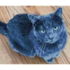 velvet - diamond dotz squares dq8.002 38x30cm
