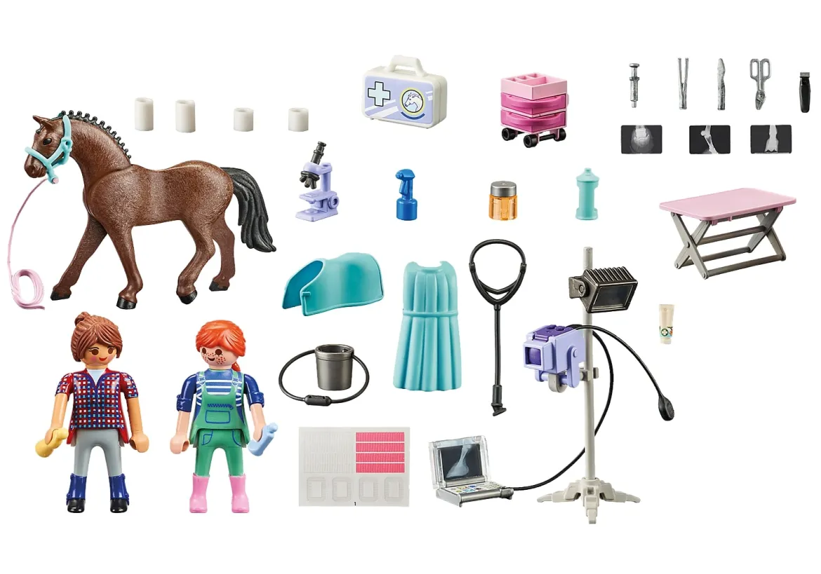 veterinaria del maneggio